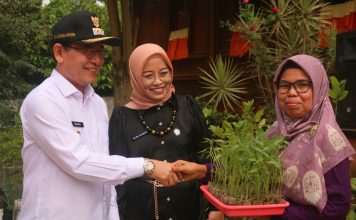 Dukung Program MGP, Wali Kota Zulmaeta Serahkan Bantuan kepada KWT se Kota Payakumbuh