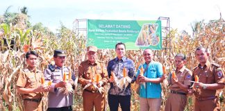 Pemko Payakumbuh Dorong Pemanfaatan Lahan Tidur Tingkatkan ketahanan Pangan