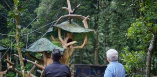 Benahi Medan Zoo, Rico Waas Minta Masukan dan Diskusi dengan Komisaris Taman Safari Indonesia Bogor