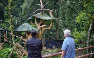 Benahi Medan Zoo, Rico Waas Minta Masukan dan Diskusi dengan Komisaris Taman Safari Indonesia Bogor