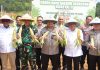 Panen Raya Jagung Kepri, Kapolda Irjen Asep Safrudin Tegaskan Komitmen Jaga Ketahanan Pangan