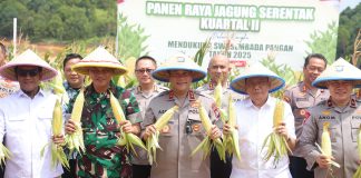 Panen Raya Jagung Kepri, Kapolda Irjen Asep Safrudin Tegaskan Komitmen Jaga Ketahanan Pangan