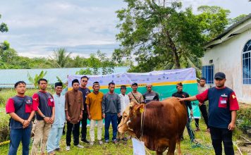 MEG dan AGP Salurkan 6 Ekor Sapi dan 14 Ekor Kambing