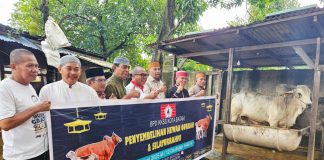 Gelar Penyembelihan Hewan Qurban di Batam, Ketua BPW KKSS Kepri Serahkan 1 Ekor Sapi