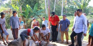 Indo Jalito Peduli Salurkan Hewan Kurban pada Perayaan Idul Adha ke Musala Nurul Iman