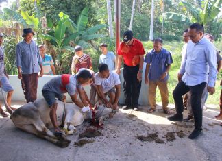 Indo Jalito Peduli Salurkan Hewan Kurban pada Perayaan Idul Adha ke Musala Nurul Iman