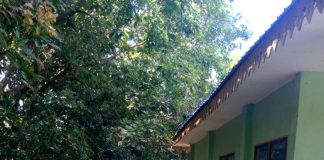 Kades Rejai Bali Klarifikasi Soal Kantor Kosong, Hanya Miskomunikasi, Pelayanan Akan Ditingkatkan