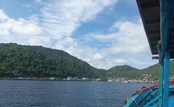 Pagi yang Damai di Pelabuhan Tarempa, Simfoni Kehidupan di Jantung Anambas