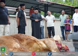 Masjid Al-Mubarak Sembelih 11 Hewan Kurban, Ketua DPRD Septian Nugraha Turut Berkurban dan Hadir Langsung di Lokasi