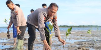 Polres Natuna Tanam Mangrove, Wujud Nyata Peduli Lingkungan Jelang Hari Bhayangkara ke-79