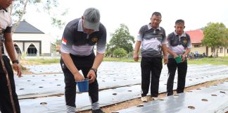 Kapolres Lingga Tanam Jagung: Simbol Komitmen Polri Dukung Ketahanan Pangan Daerah