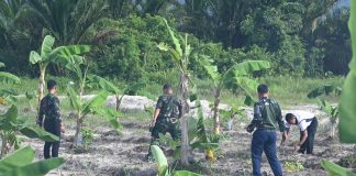 Personel Lanud RSA Natuna Konsisten Rawat RSA Farm, Dukung Ketahanan Pangan Nasional