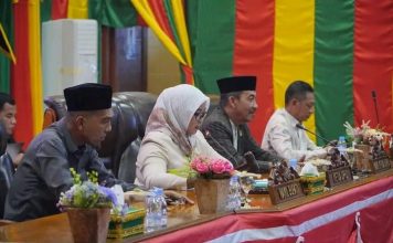 Wakil Bupati Lingga Hadiri Rapat Paripurna DPRD Terkait Pertanggungjawaban APBD 2024