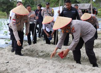 Dukung Ketahanan Pangan, Polres Lingga Tanam Jagung Serentak di Lahan Perhutanan Sosial