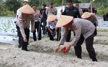 Dukung Ketahanan Pangan, Polres Lingga Tanam Jagung Serentak di Lahan Perhutanan Sosial