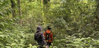 Tiga Pencari Gaharu Belum Kembali Sejak 1 Juli Lalu, Tim SAR Gabungan Lakukan Pencarian Intensif