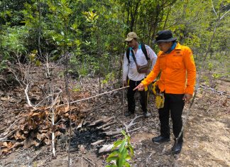 Hari Pertama Pencarian Nihil, Tim SAR Perluas Area Pencarian 3 Warga Natuna yang Hilang Di Bukit Bedung
