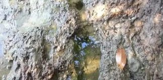 Pulau Mamut: Jejak Sultan Mahmud dan Mata Air Ajaib di Utara Lingga