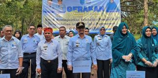 TP PKK Buteng Dorong Kemandirian Pangan Keluarga Lewat Gerakan Tanam Cabai