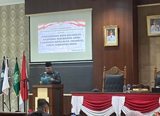 Efisiensi Nasional, APBD Anambas 2025 Dipangkas Rp203 Miliar, Bupati: Kami Tetap Fokus pada Program Strategis