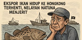 Ekspor Ikan Hidup ke Hongkong Terhenti, Nelayan Natuna Menjerit