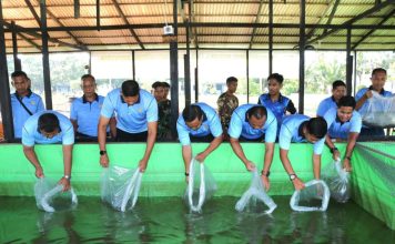 Danlanud Raden Sadjad Tebar 60 Ribu Benih Lele Wujudkan Ketahanan Pangan Natuna