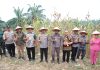 Bupati Asahan Ikuti Panen Raya Jagung Serentak Dipimpin Presiden Republik Indonesia