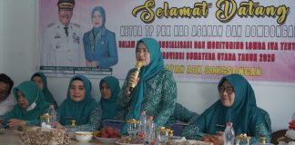 Ketua TP PKK Sosialisasikan Dan Monitoring IVA Test Dii Kecamatan Aek Songsongan