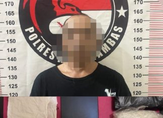Satresnarkoba Polres Anambas Tangkap Pelaku Penyalahgunaan Narkoba Diantaranya Tiga Laki – Laki dan Satu Perempuan