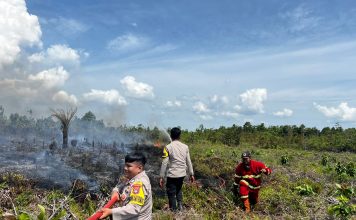 Respon Cepat Bhabinkamtibmas Polres Natuna Bersama BPBD Natuna Padamkan Kebakaran Lahan di Batubi-Kelarik