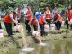 Kapolda Kepri Tabur 50 Ribu Benih Ikan Air Tawar di Tibelat Farm Sekupang