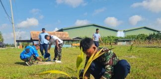 Danlanud RSA Pimpin Langsung Perawatan Bibit Kelapa di RSA Farm Natuna