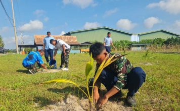 Danlanud RSA Pimpin Langsung Perawatan Bibit Kelapa di RSA Farm Natuna