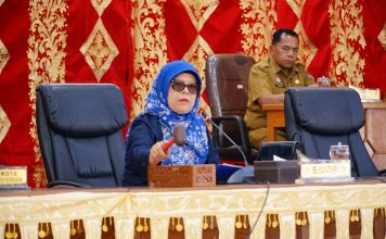 Erlindawati Nilai Pemandangan Umum Fraksi Cerminkan Kontrol Politik yang Sehat