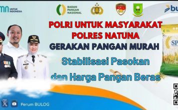 Jelang HUT RI ke-80, Polres Natuna dan Bulog Gelar Gerakan Pangan Murah di Pantai Piwang