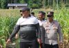 Wujud Nyata Dukung Ketahanan Pangan, Polres Lingga Ubah Lahan Tidur Jadi Sentra Jagung