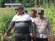 Wujud Nyata Dukung Ketahanan Pangan, Polres Lingga Ubah Lahan Tidur Jadi Sentra Jagung