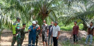 DLH Aceh Timur Lakukan Pemantauan Lingkungan di Panton Rayeuk T