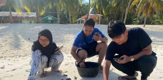 Pulau Pahat, Pesona Wisata Tropis yang Ajak Wisatawan Terlibat dalam Konservasi Penyu