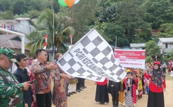 Bupati Anambas Aneng Resmi Membuka Pawai Pembangunan HUT ke-80 RI