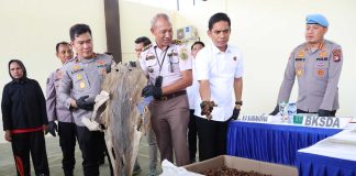 Polda Kepri Berhasil Gagalkan Penyelundupan Hasil Laut, Satwa Dilindungi dan Penyalahgunaan Migas