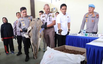Polda Kepri Berhasil Gagalkan Penyelundupan Hasil Laut, Satwa Dilindungi dan Penyalahgunaan Migas