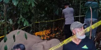 Seekor Gajah Jantan Mati Diduga Meminum Racun Rumput di Ladang Warga Peunaron, Aceh Timur
