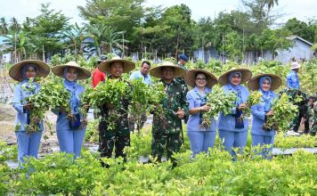 Danlanud RSA Natuna Pimpin Panen Raya Kacang Tanah, Dukungan Ketahanan Pangan Nasional