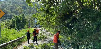 BPBD Anambas Tertibkan Pohon di Bukit Tengkorak untuk Antisipasi Bahaya