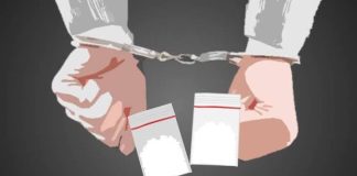 Oknum Pegawai P3K Pemda Karimun Dikabarkan Ditangkap Terkait Narkoba Tak Diproses Hukum, Ada Apa?