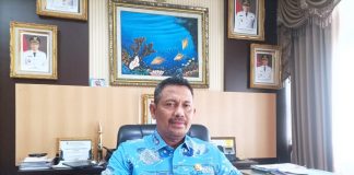 Pemkab Anambas Kembali Usulkan Pembangunan PLBN di Jemaja