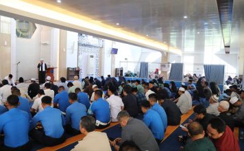 BP Batam Gelar Peringatan Maulid Nabi Muhammad SAW