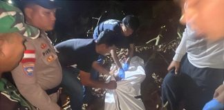 Mayat Seorang Pria Ditemukan di Kebun Desa Air Bini, Polisi Lakukan Penyelidikan