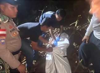 Mayat Seorang Pria Ditemukan di Kebun Desa Air Bini, Polisi Lakukan Penyelidikan